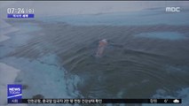 [이 시각 세계] '기후변화 관심 촉구' 남극 수영