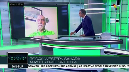 Critical Moves: Western Sahara, Now they Fight for the Sea
