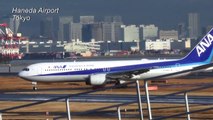 Plane carrying Japanese evacuees from Wuhan lands in Tokyo