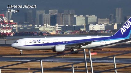 Plane carrying Japanese evacuees from Wuhan lands in Tokyo