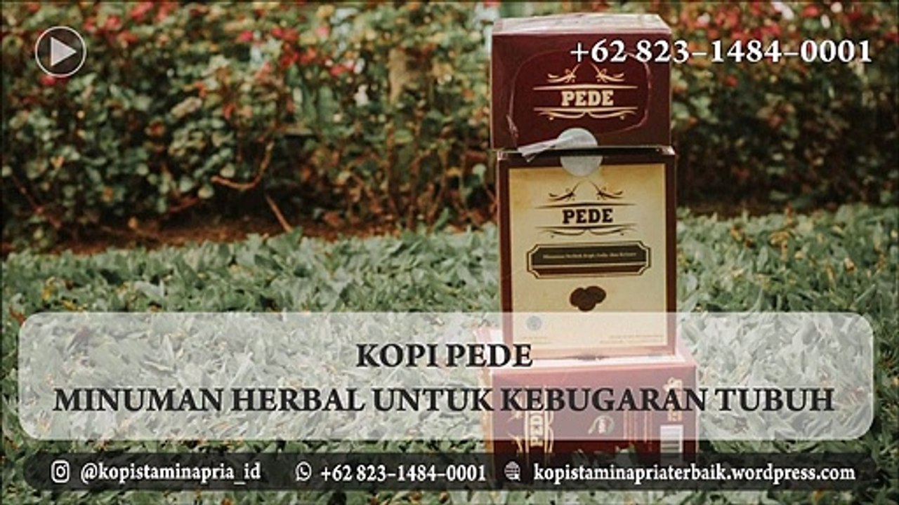 JUALLL!!! Jual Kopi Purwaceng Di Jakarta