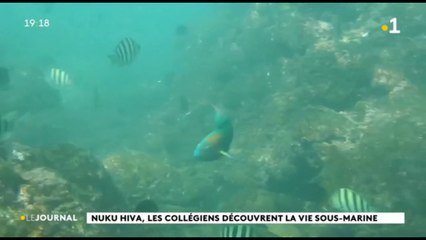 Baptême de plongée pour les élèves du CETAD de Nuku Hiva