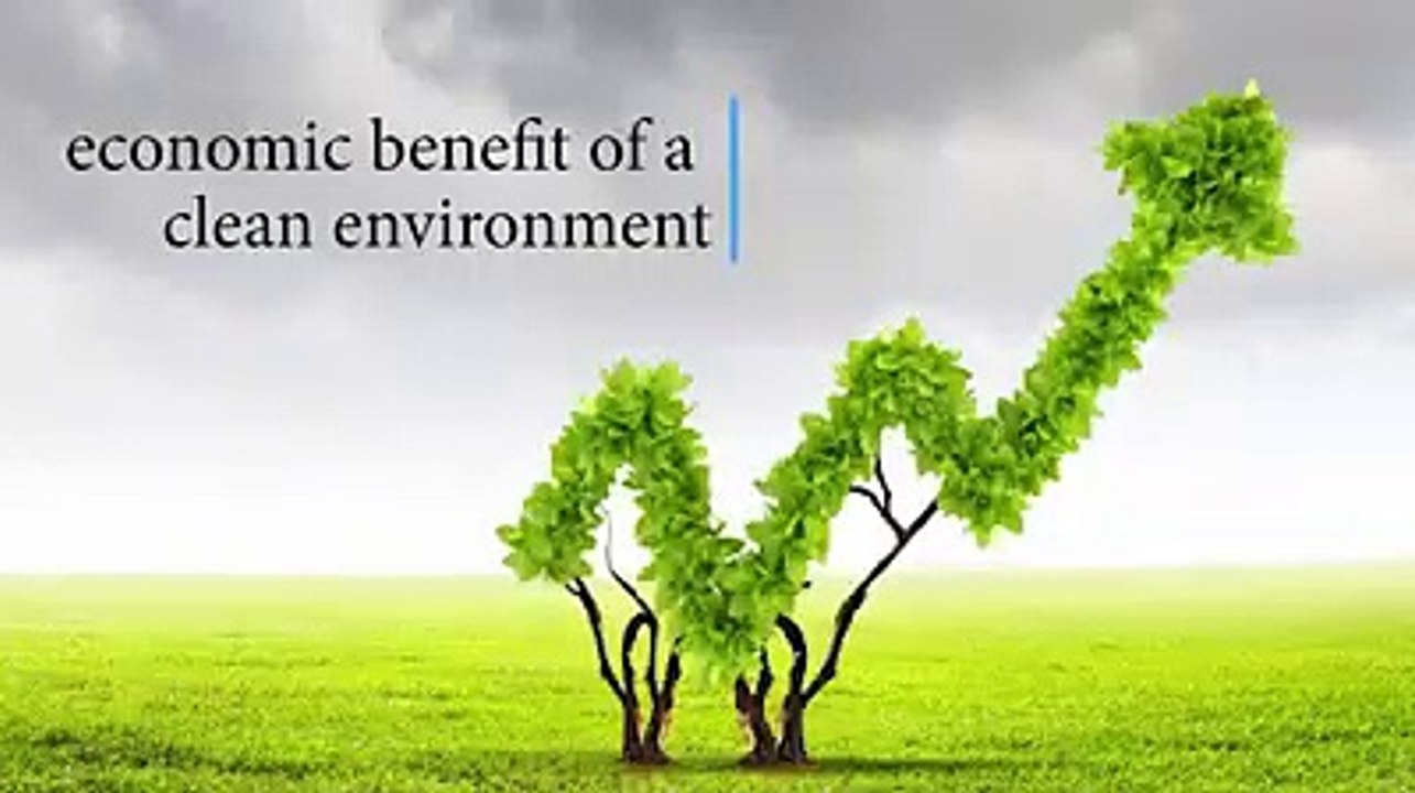 Is Recycling Good Or Bad For The Wider Economy? video Dailymotion