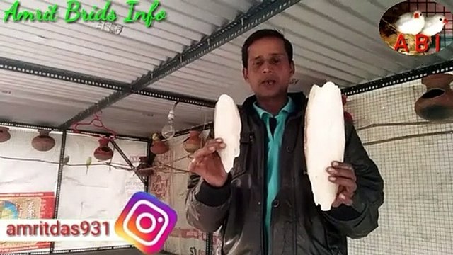 CuttIeish bone for all exotic Brids / calcime carbonate for Australian parrots