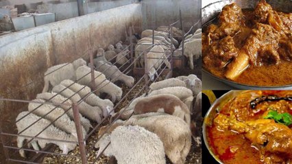 ಮಟನ್ ಆರ್ಡರ್ ಮಾಡುವ ಮುನ್ನ ಎಚ್ಚರ ಎಚ್ಚರ! | MUTTON | PRICE HIKE | 700 | ONEINDIA KANNADA