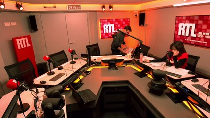 Élevage : le broyage des poussins et la castration à vif des porcelets interdits fin 2021