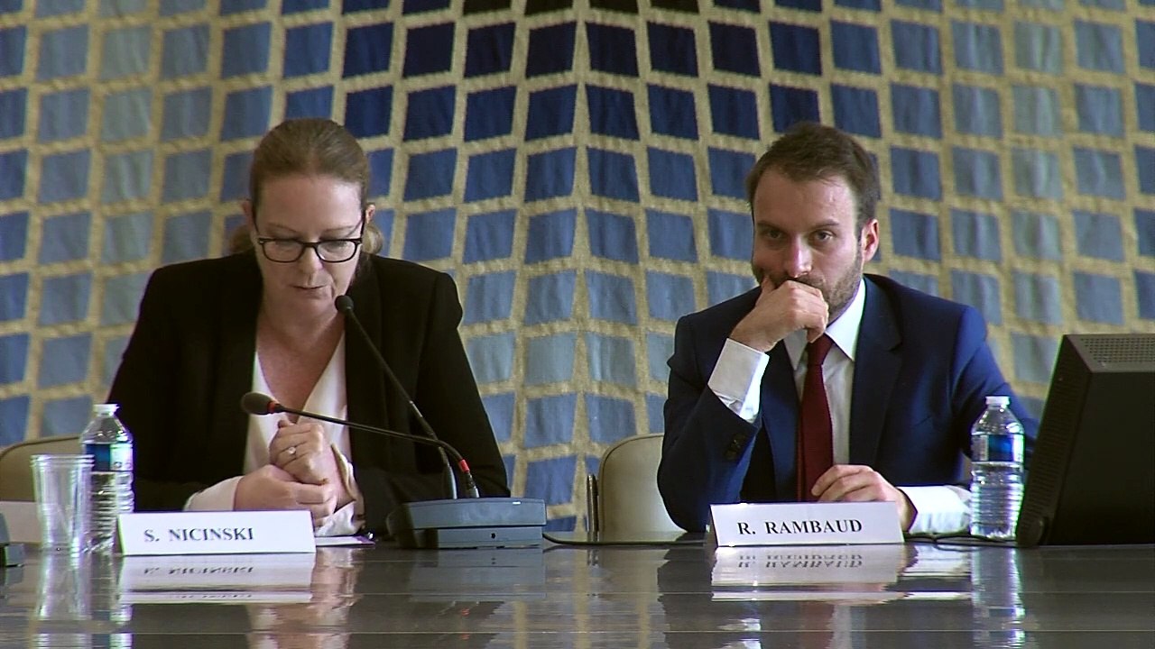 05-"La privatisation et le statut d’Aéroports de Paris", Sophie Nicinski, Professeur de droit public à l’École de droit de la Sorbonne (Paris I), @La privatisation d’Aéroports de Paris, colloque IEJUC