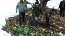 Mersin'de yaban hayvanları için doğaya yem bırakıldı