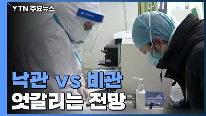 中 낙관 vs 홍콩 비관...전문가 전망 엇갈려 / YTN