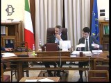Roma - Audizione su sicurezza sul lavoro (29.01.20)