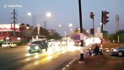 Escaped giraffes spark chaos after breaking free from truck and running along road in Thailand