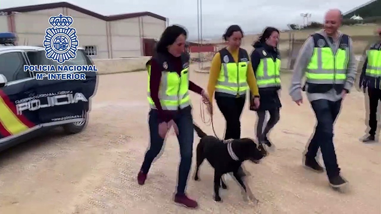 Rescatada la perra Pocahontas