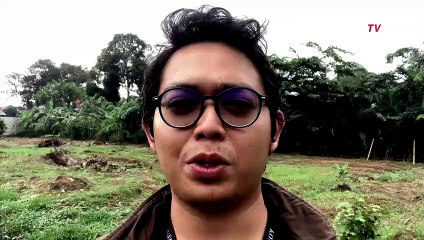 Benarkah Pohon-pohon Ex Monas Sedang Disehatkan?