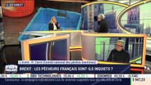 Hubert Carré (CNPMEM) : Brexit, les pêcheurs français sont-ils inquiets ? - 29/01