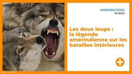 Les deux loups : la légende amérindienne sur les batailles intérieures