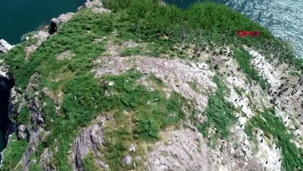 Ordu gülden yılmaz, doktor kızını öldüren eşinden boşandı