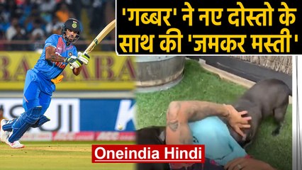 Shikhar Dhawan playing with Pet Dogs shares adorable video on Instgram, Watch Video | Oneindia Hindi