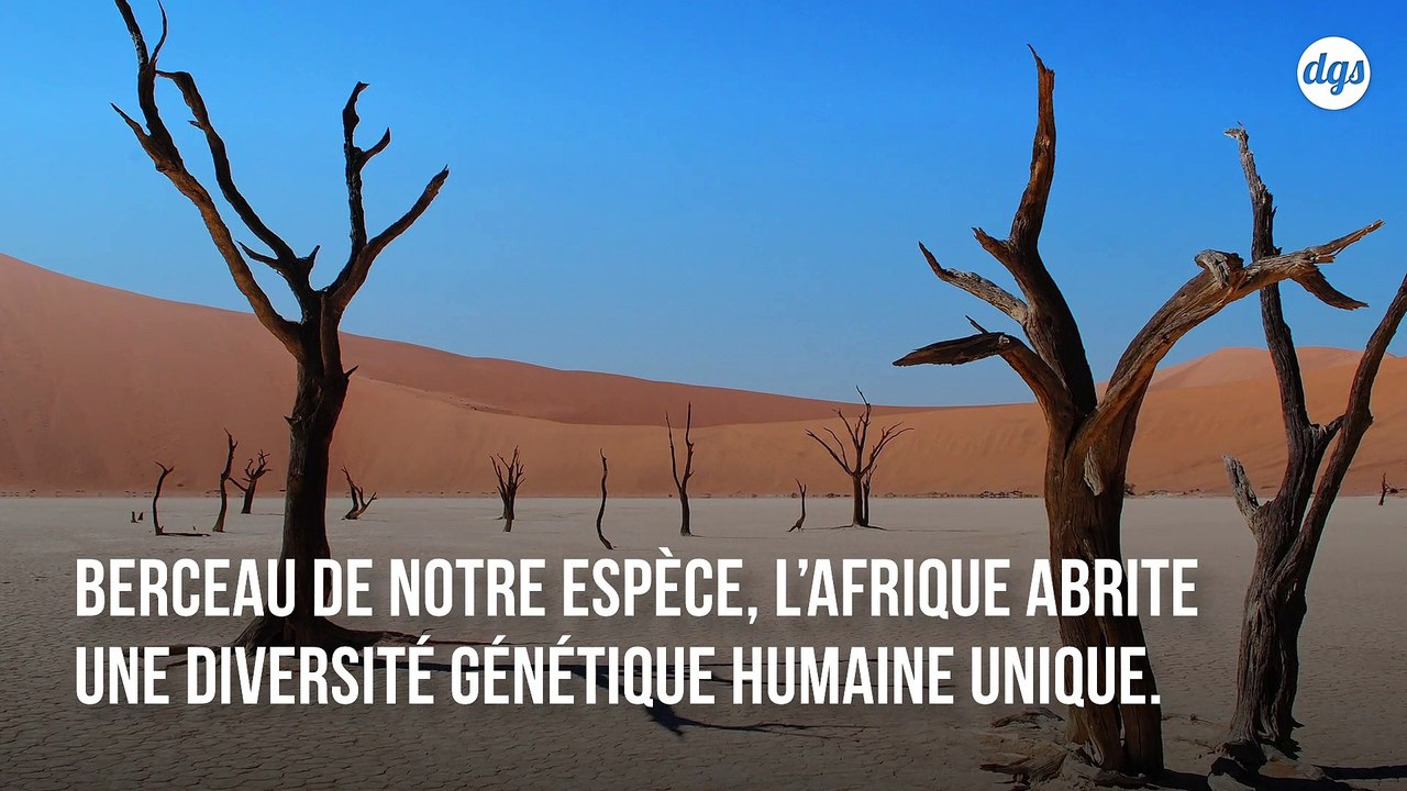 L'ADN de ces enfants préhistoriques nous éclairent sur les origines de l'espèce humaine