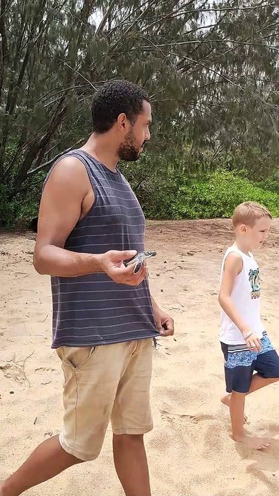 Saving a Stranded Baby Turtle