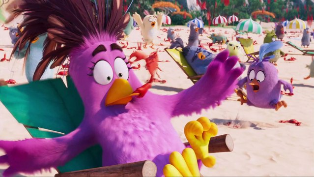 Angry Birds : Copains comme cochons - Vidéo à la Demande d'Orange