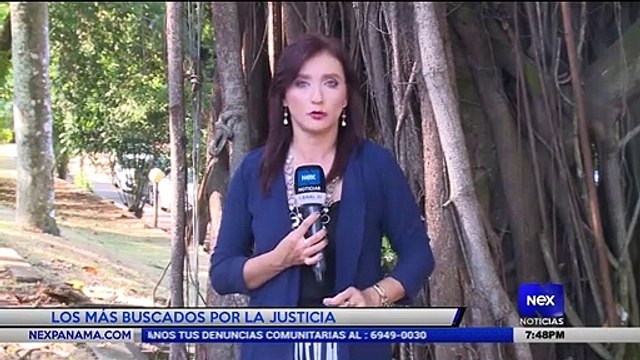 Los más buscados con Linda Bran - Nex Noticias
