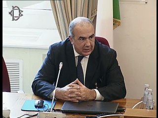 Roma -Audizione su pace e stabilità nel Mediterraneo (29.01.20)