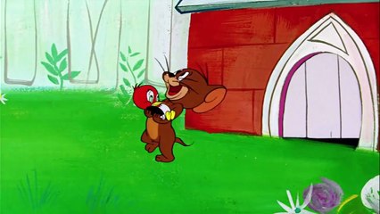 Tom & Jerry - Best of Jerry Mouse - Classic Cartoon Compilation - WB Kids