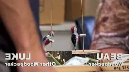 Duck Dynasty S04E04 A-Jase-Ent Living