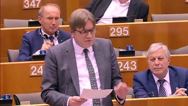 Guy Verhofstadt says European Parliament is voting to avoid a 'wild Brexit'