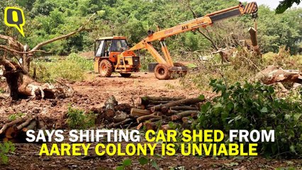 What Will Maha Govt Do After Committee Report on Aarey Car Shed?