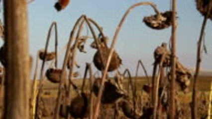 7 naciones que pronto podrían quedarse sin agua