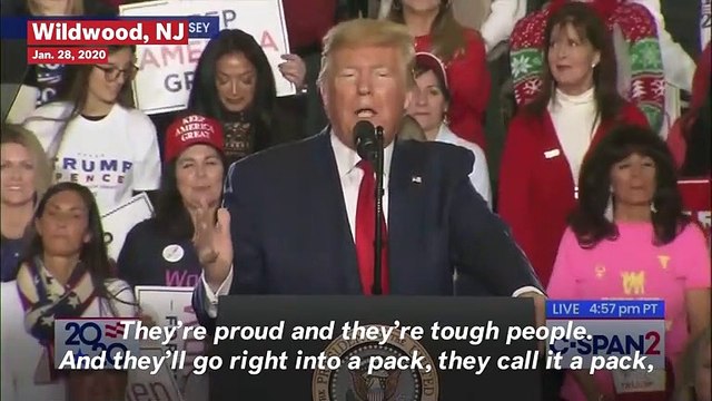Trump Praises ICE Agents' Fist-Fighting Abilities: 'They Start Swinging... That's The End Of That'