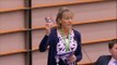 Martina Anderson compares Brexit to Derry gerrymander but cries 'Tiocfaidh an lá sin' with prediction northern MEPs will sit in Brussels again