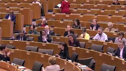 Antonio Maria Rinaldi - L’Europa deve rispettare le scelte della Gran Bretagna (29.01.20)