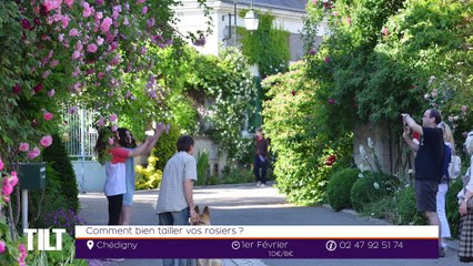TILT - 29/01/2020 Partie 1 - Comment bien tailler vos rosiers ?