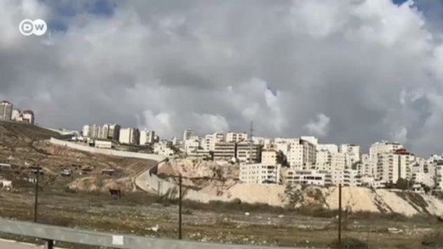 План Трампа по урегулированию конфликта на Ближнем Востоке устроил не всех (29.01.2020)