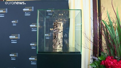 Roman Polanski mattatore ai César, gli Oscar del cinema francese