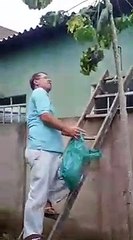 La pire méthode pour se débarrasser d'un nid de guêpes...