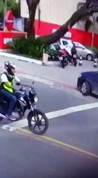 Vídeo mostra momento em que árvore cai em Guarapari