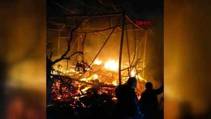 Evin bacasında çıkan yangın zeytin tarlasına sıçradı