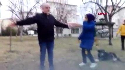 Ankara'da 20 sokak hayvanı zehirlenerek öldürüldü - 2