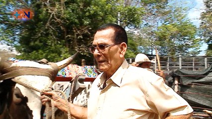 mqn-Tango le saca chispas a la vida-290120