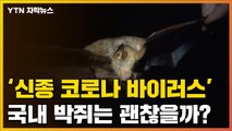 [자막뉴스] '신종 코로나 바이러스' 국내 박쥐는 괜찮을까? / YTN