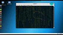 Matrix Type Hacker Animation in Linux Terminal