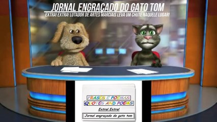 Jornal engraçado do gato tom: Lutador de artes marciais leva um chute naquele lugar! [Frases e Poemas]