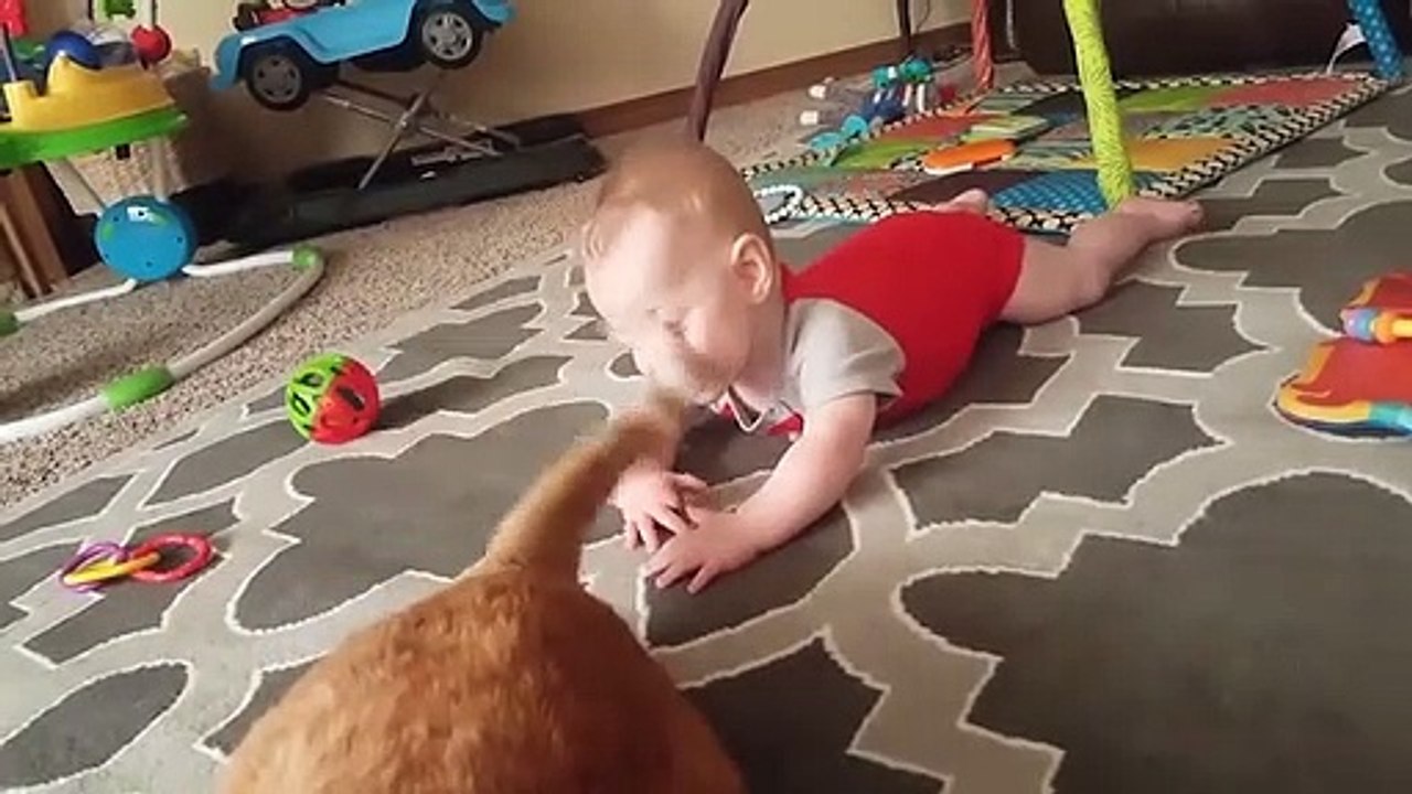 FUNNY_VINE_★_||_Funny_Babies_and_Petse//