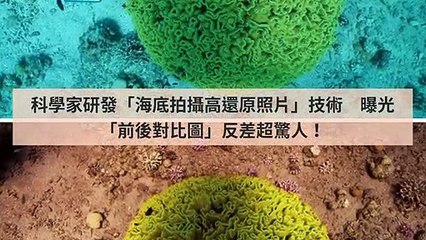 CollectionVideo-adgeek_teepr_curation-copy4-TeeprParser-2020/01/30-10:30