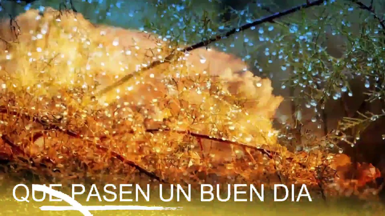 Conoce El Tiempo de Hoy Jueves 30 de Enero de 2020