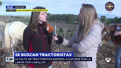 En Cataluña vuelven a la Edad Media: abandonan los tractores por el arado a caballo: "Les hablamos en francés"