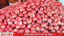 পেঁয়াজের এখন দাম ৪৫ টাকা